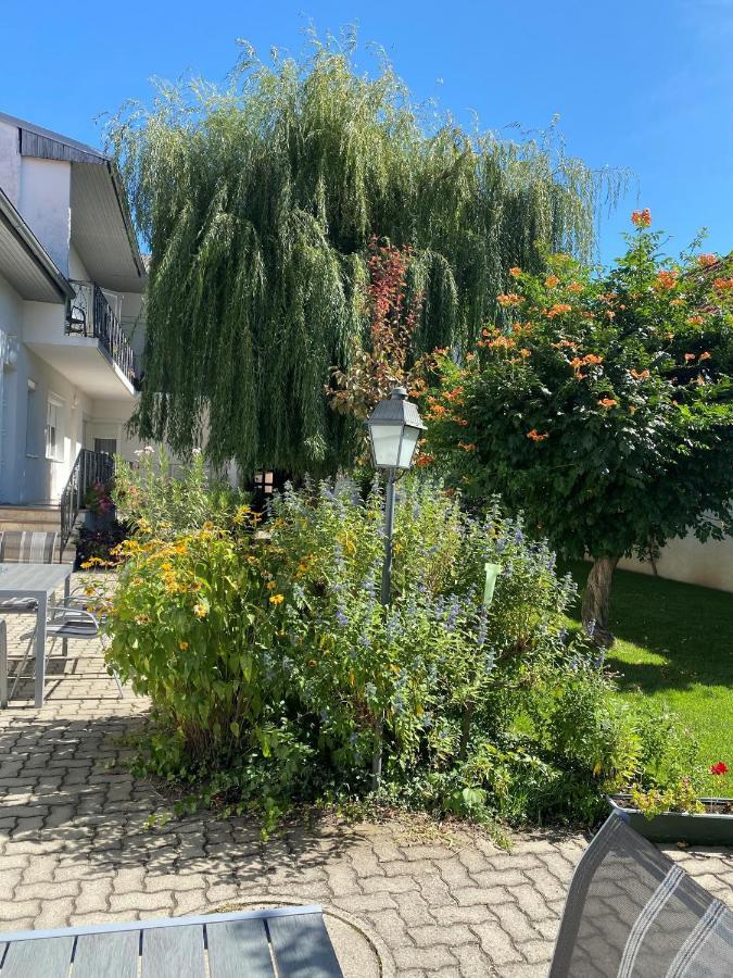 אילמיץ Gaestehaus & Weingut Klein מראה חיצוני תמונה