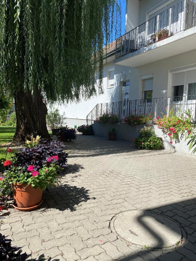 אילמיץ Gaestehaus & Weingut Klein מראה חיצוני תמונה